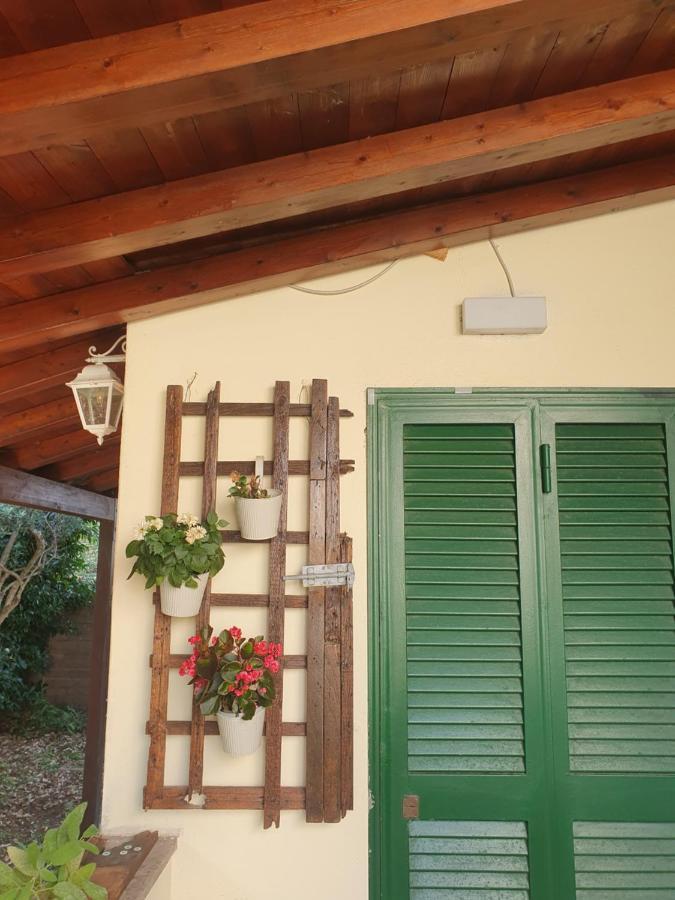 Andrea'S House Villa Fiumicino Eksteriør billede
