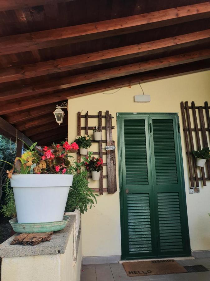 Andrea'S House Villa Fiumicino Eksteriør billede